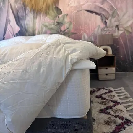 Maison Joepolly Corsica Hébergement de vacances Bonifacio (Corsica)